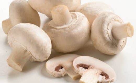 creamy mushroom soup
